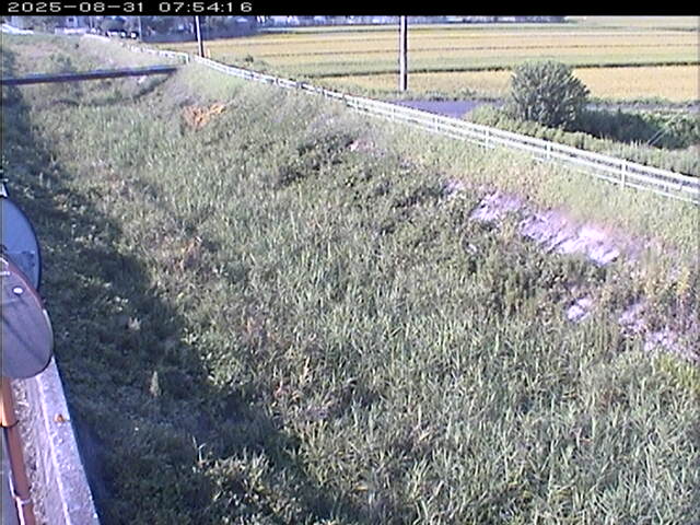 大路川６2025/08/31 11:20:00