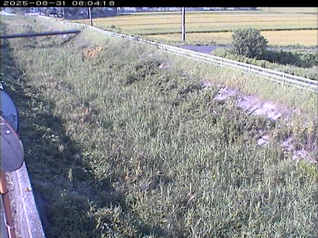 大路川６2025/08/31 11:20:00