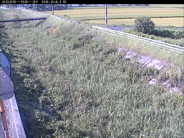 大路川６2025/08/31 11:20:00