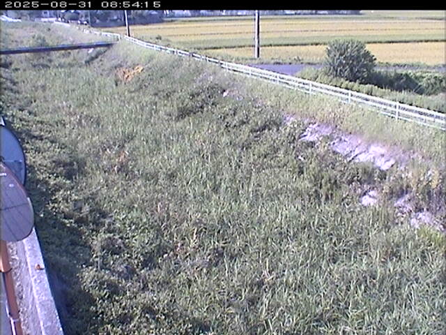 大路川６2025/08/31 11:20:00
