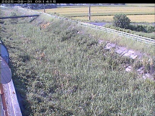 大路川６2025/08/31 11:20:00