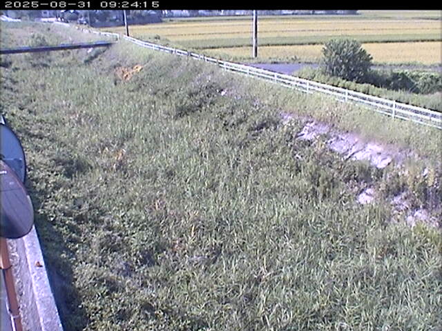 大路川６2025/08/31 11:20:00