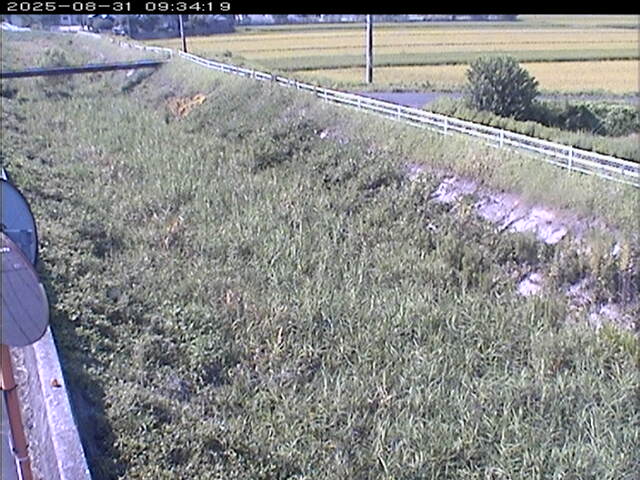 大路川６2025/08/31 11:20:00