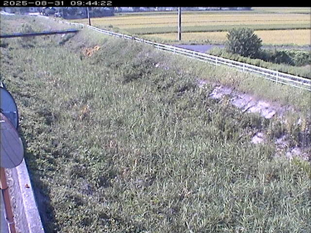 大路川６2025/08/31 11:20:00