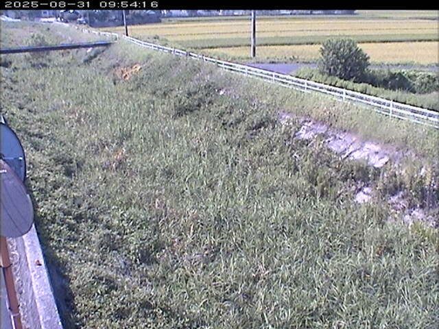 大路川６2025/08/31 11:20:00