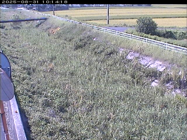 大路川６2025/08/31 11:20:00