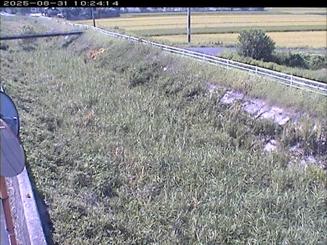 大路川６2025/08/31 11:20:00