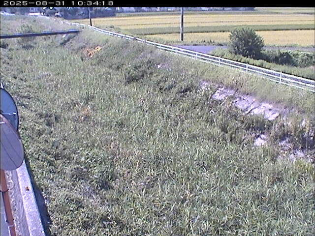 大路川６2025/08/31 11:20:00