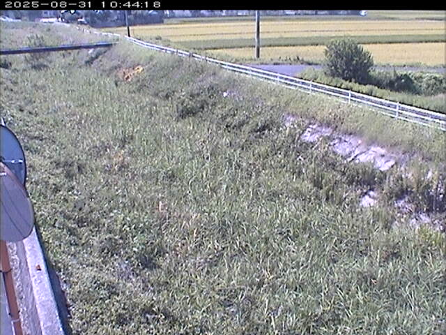 大路川６2025/08/31 11:20:00