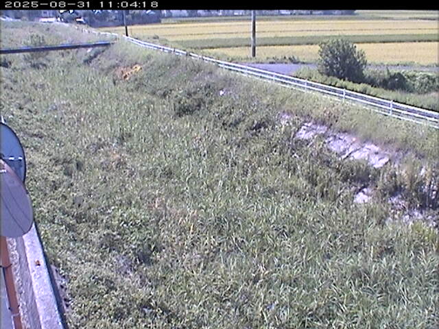 大路川６2025/08/31 11:20:00