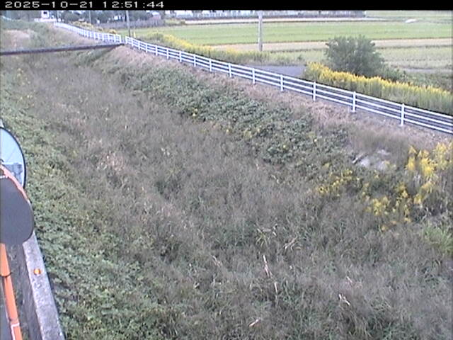 大路川６2025/10/22 11:20:00
