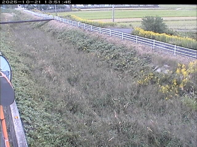 大路川６2025/10/22 11:20:00