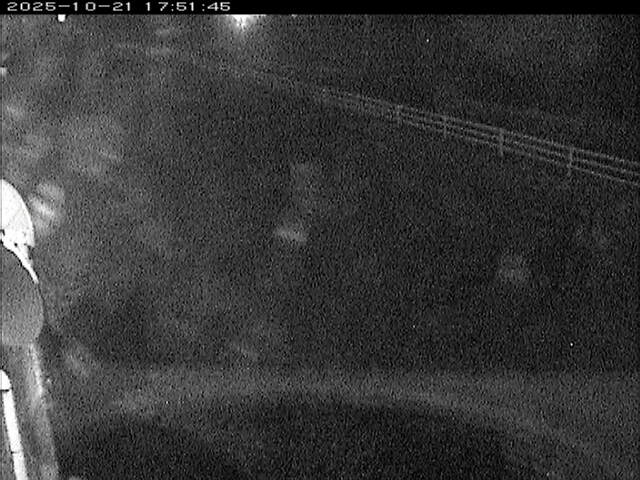 大路川６2025/10/22 11:20:00