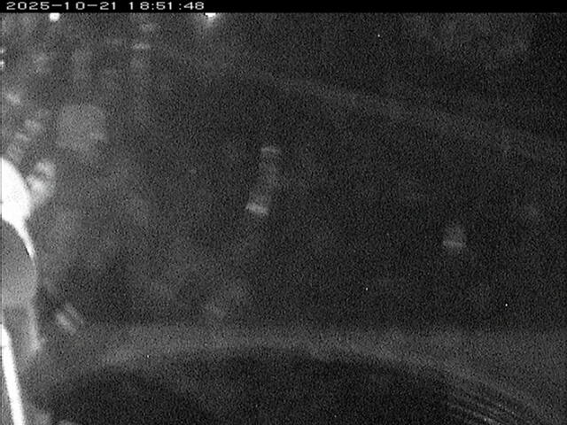 大路川６2025/10/22 11:20:00