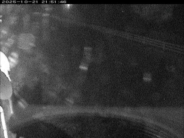 大路川６2025/10/22 11:20:00