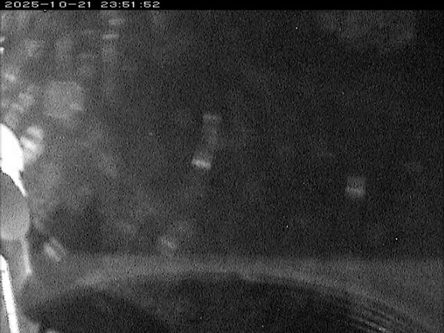 大路川６2025/10/22 11:20:00