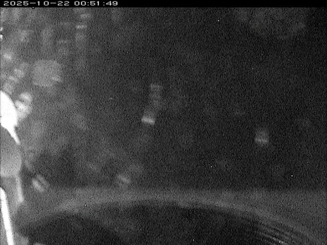 大路川６2025/10/22 11:20:00