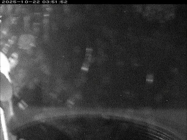 大路川６2025/10/22 11:20:00