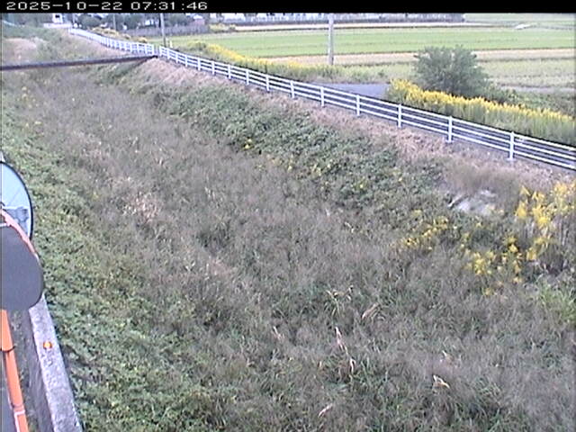 大路川６2025/10/22 11:20:00