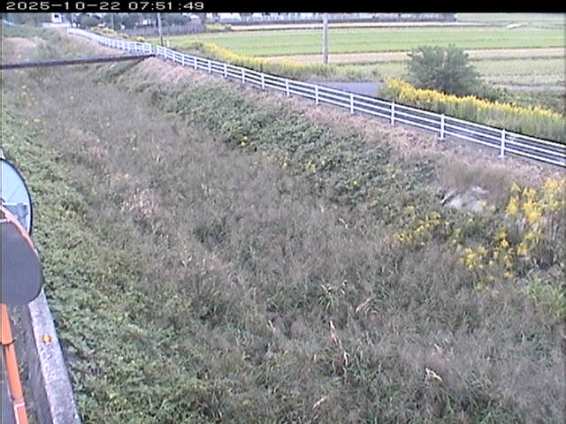 大路川６2025/10/22 11:20:00