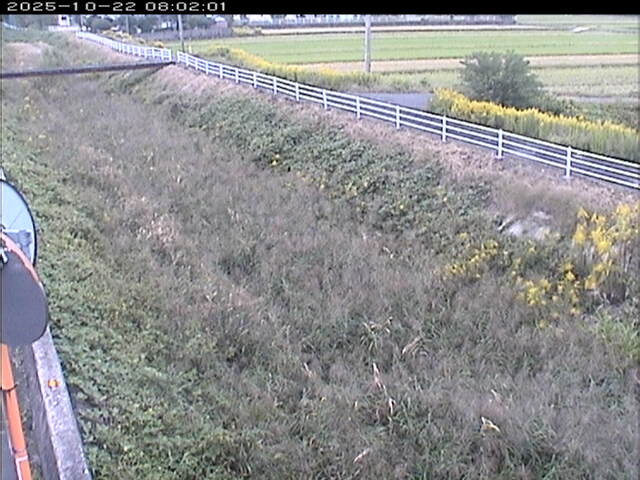 大路川６2025/10/22 11:20:00