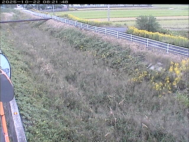 大路川６2025/10/22 11:20:00