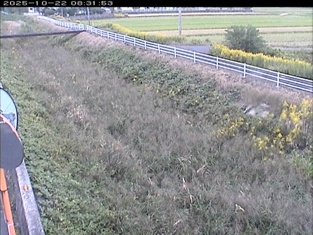 大路川６2025/10/22 11:20:00