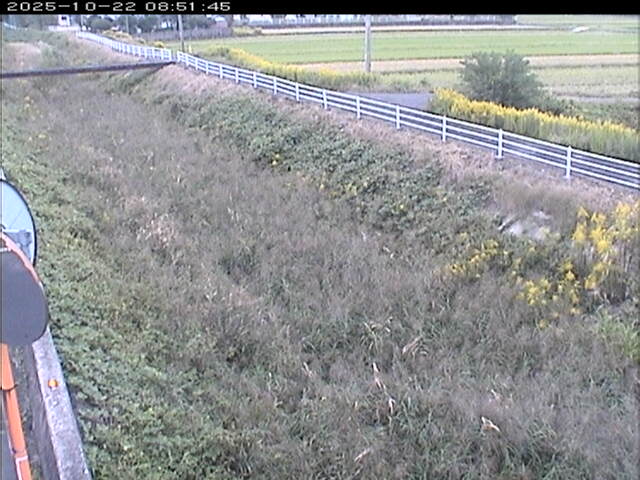 大路川６2025/10/22 11:20:00