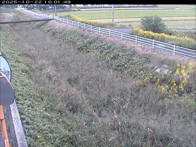 大路川６2025/10/22 11:20:00