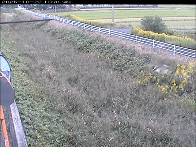 大路川６2025/10/22 11:20:00