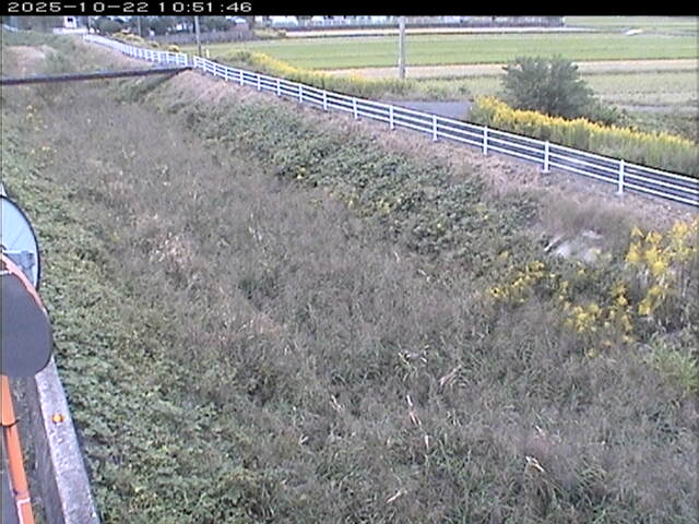 大路川６2025/10/22 11:20:00