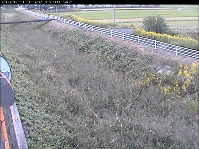 大路川６2025/10/22 11:20:00