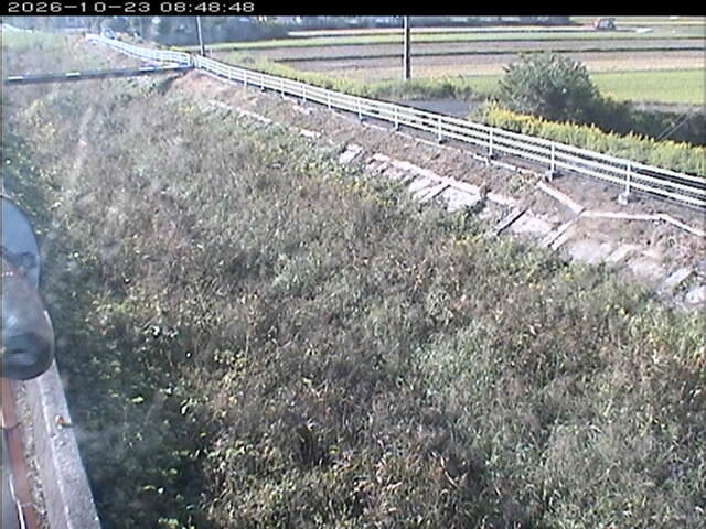 大路川６2026/10/24 9:30:00