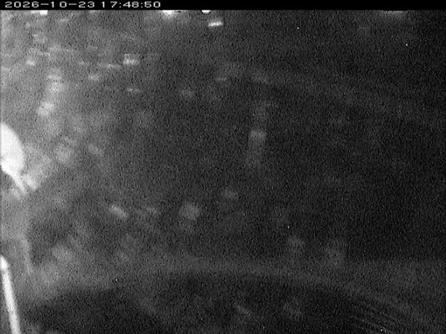 大路川６2026/10/24 9:30:00