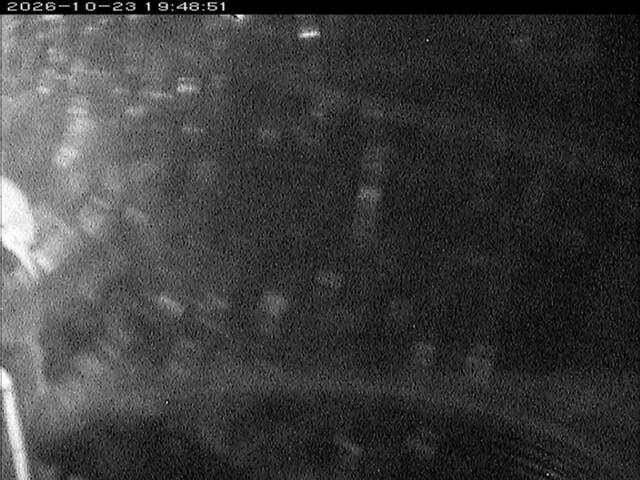大路川６2026/10/24 9:30:00