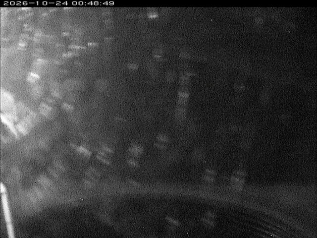 大路川６2026/10/24 9:30:00