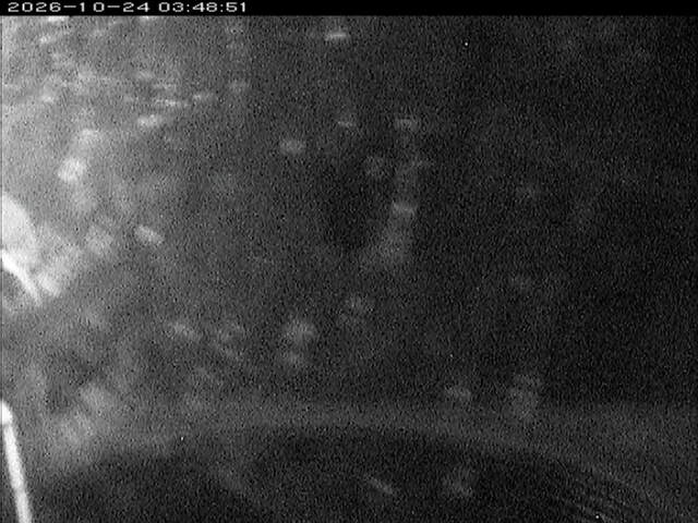 大路川６2026/10/24 9:30:00