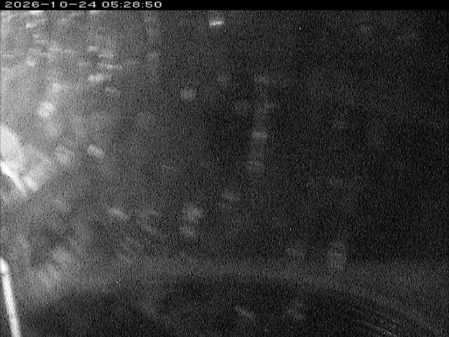 大路川６2026/10/24 9:30:00