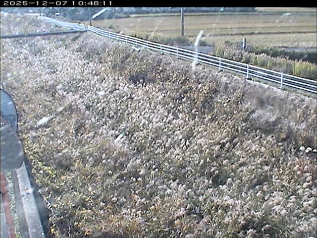 大路川６2025/12/08 11:30:00