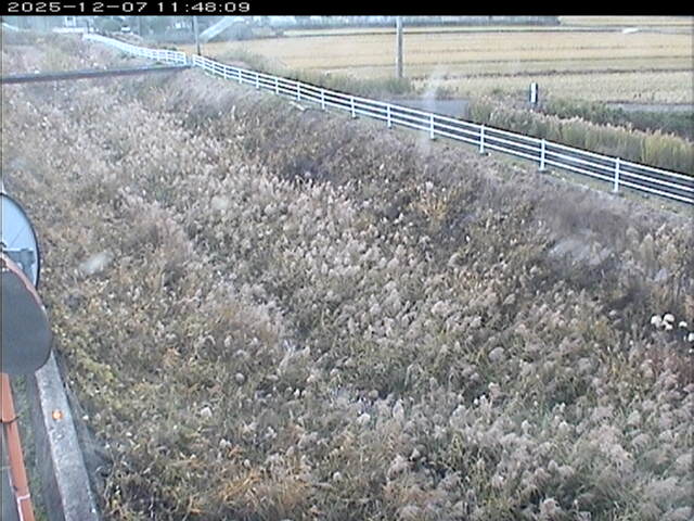 大路川６2025/12/08 11:30:00