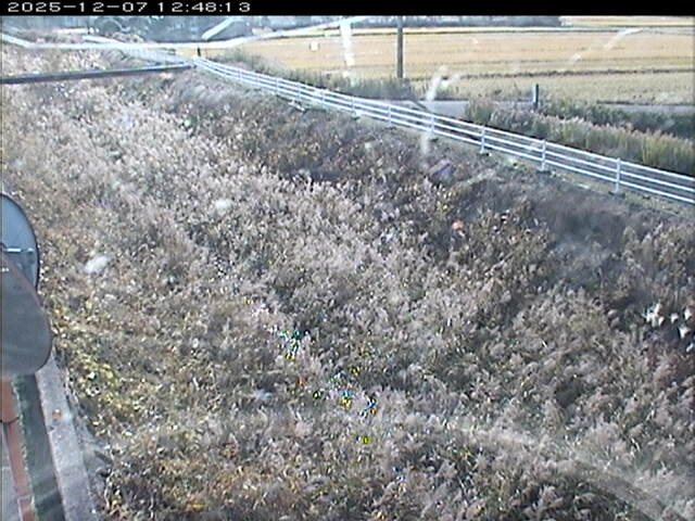 大路川６2025/12/08 11:30:00