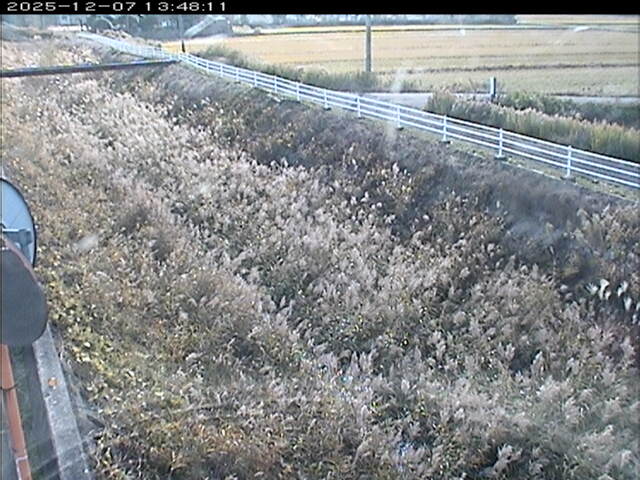 大路川６2025/12/08 11:30:00