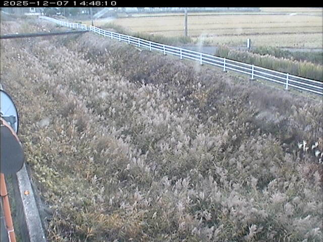 大路川６2025/12/08 11:30:00