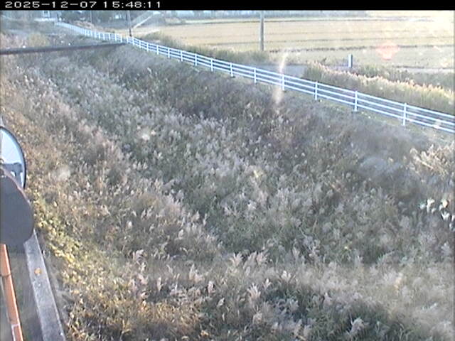 大路川６2025/12/08 11:30:00