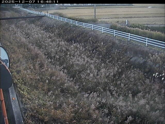 大路川６2025/12/08 11:30:00