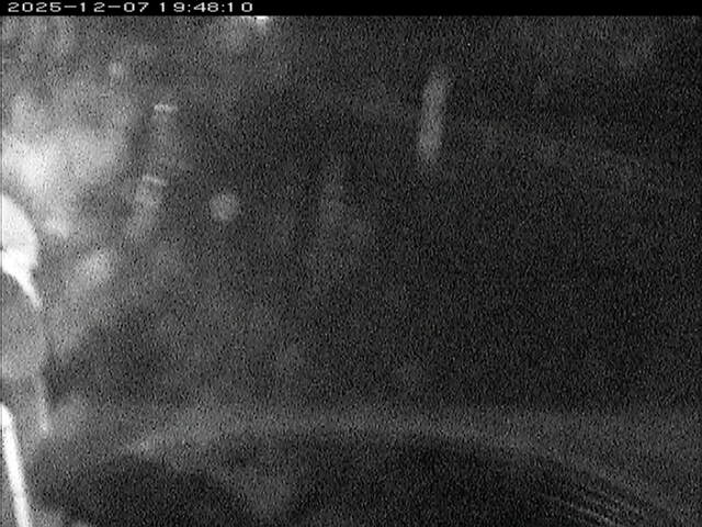 大路川６2025/12/08 11:30:00