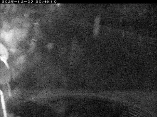 大路川６2025/12/08 11:30:00