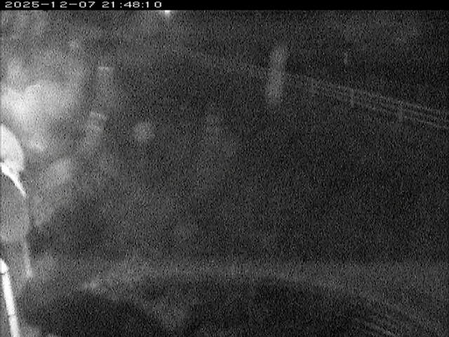 大路川６2025/12/08 11:30:00