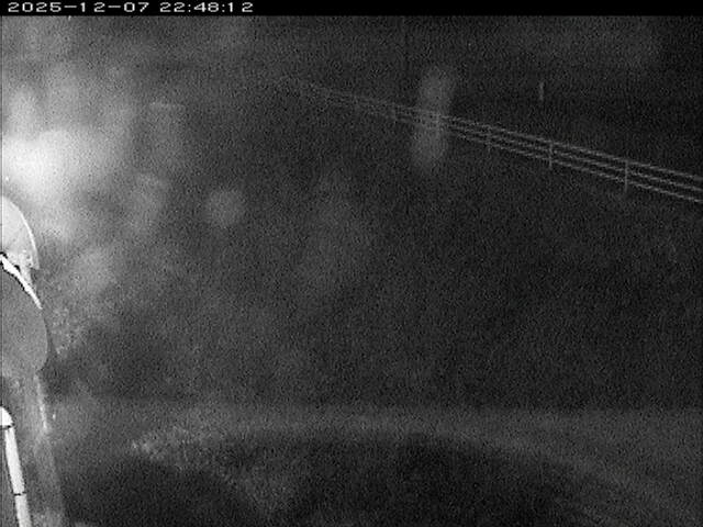 大路川６2025/12/08 11:30:00