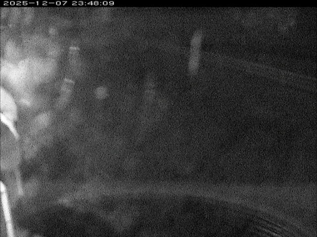 大路川６2025/12/08 11:30:00